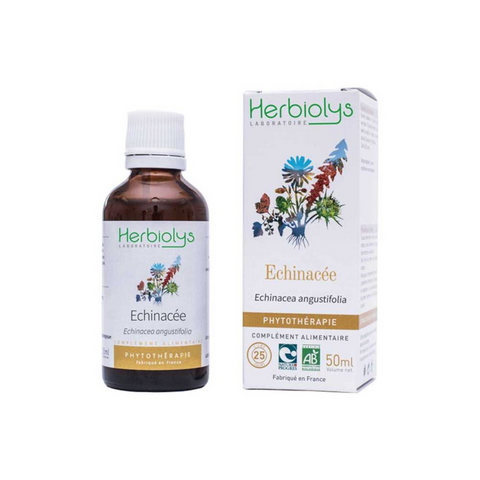 Echinacée - Extrait de Plante fraîche - Défenses immunitaires - 50 ml