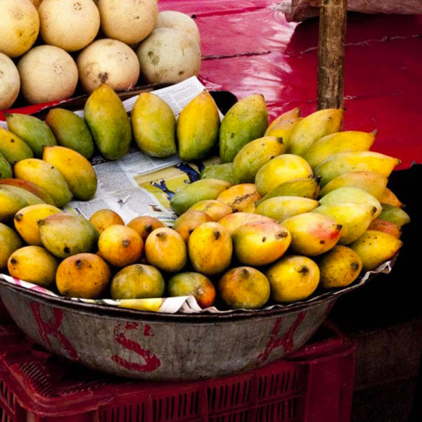 Poudre de mangue verte sechée 