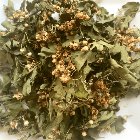 Aubépine - Sommités fleuries - Bio