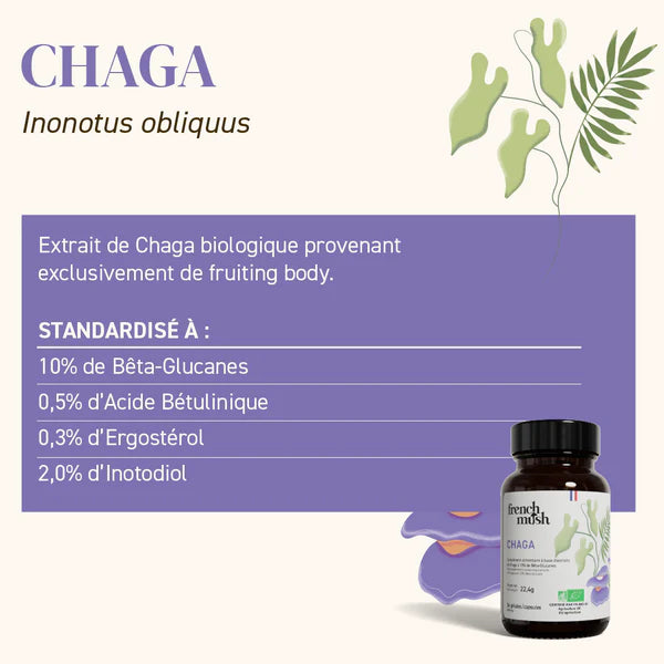 Chaga