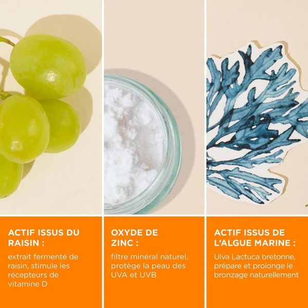 Crème solaire adulte SPF 30 - Ingrédients clés