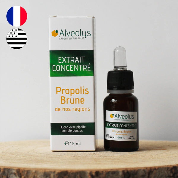 Extrait concentré de propolis brune française