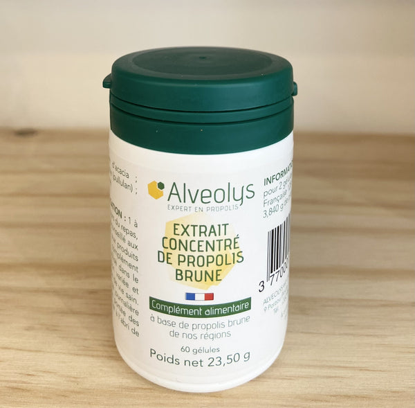 Propolis française de peuplier concentrée - Gélules