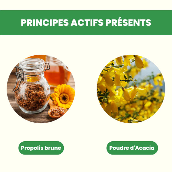 Gelules de propolis brune de peuplier et poudre d'acacia