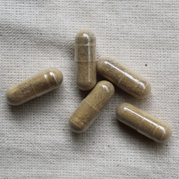 Gélules de propolis de peuplier concentrée
