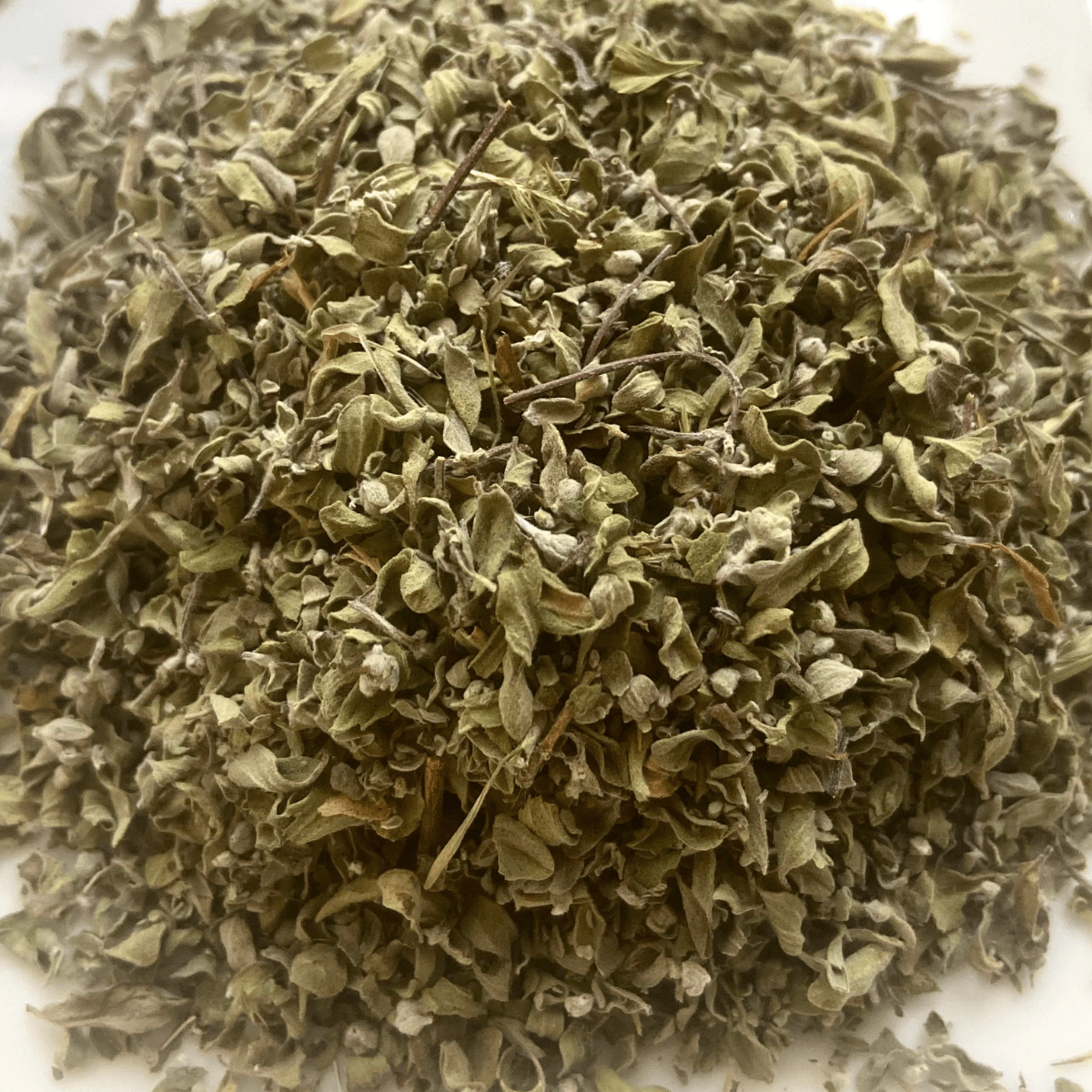 Marjolaine à coquilles - Feuilles - Bio