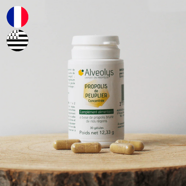 Propolis française de peuplier concentrée - Gélules