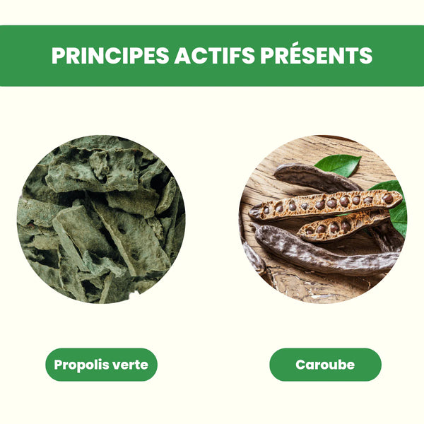 Gélules principes actifs issus de la propolis verte et de la caroube