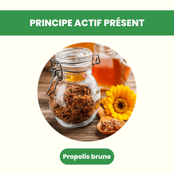 Propolis Française