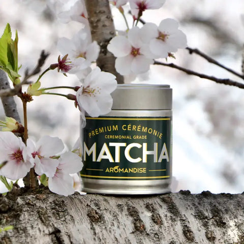 Poudre thé vert Matcha de Cérémonie - Premium