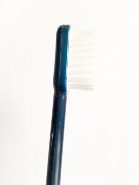 Brosse à dents tête changeable bleu marine